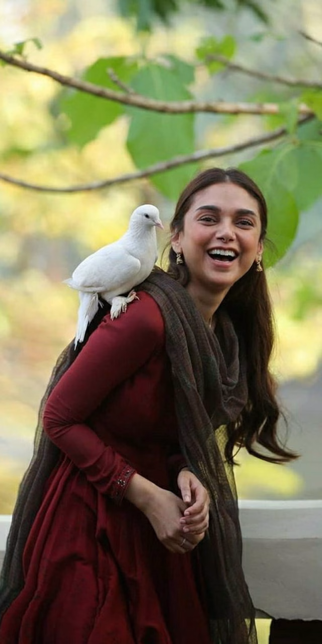HD-wallpaper-aditi-rao-hydari-aditi-aditi-rao-hydari-love-loving-nani-parrot-saheba-tollywood-white-wings