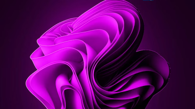 HD-wallpaper-dark-purple-windows-11-logo-windows-11