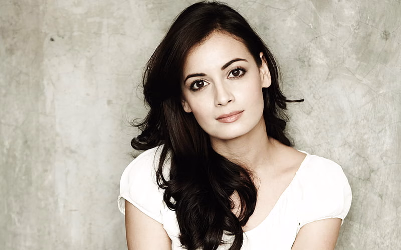 HD-wallpaper-dia-mirza-indian-actress-bollywood-portrait-beautiful-woman-indian-woman