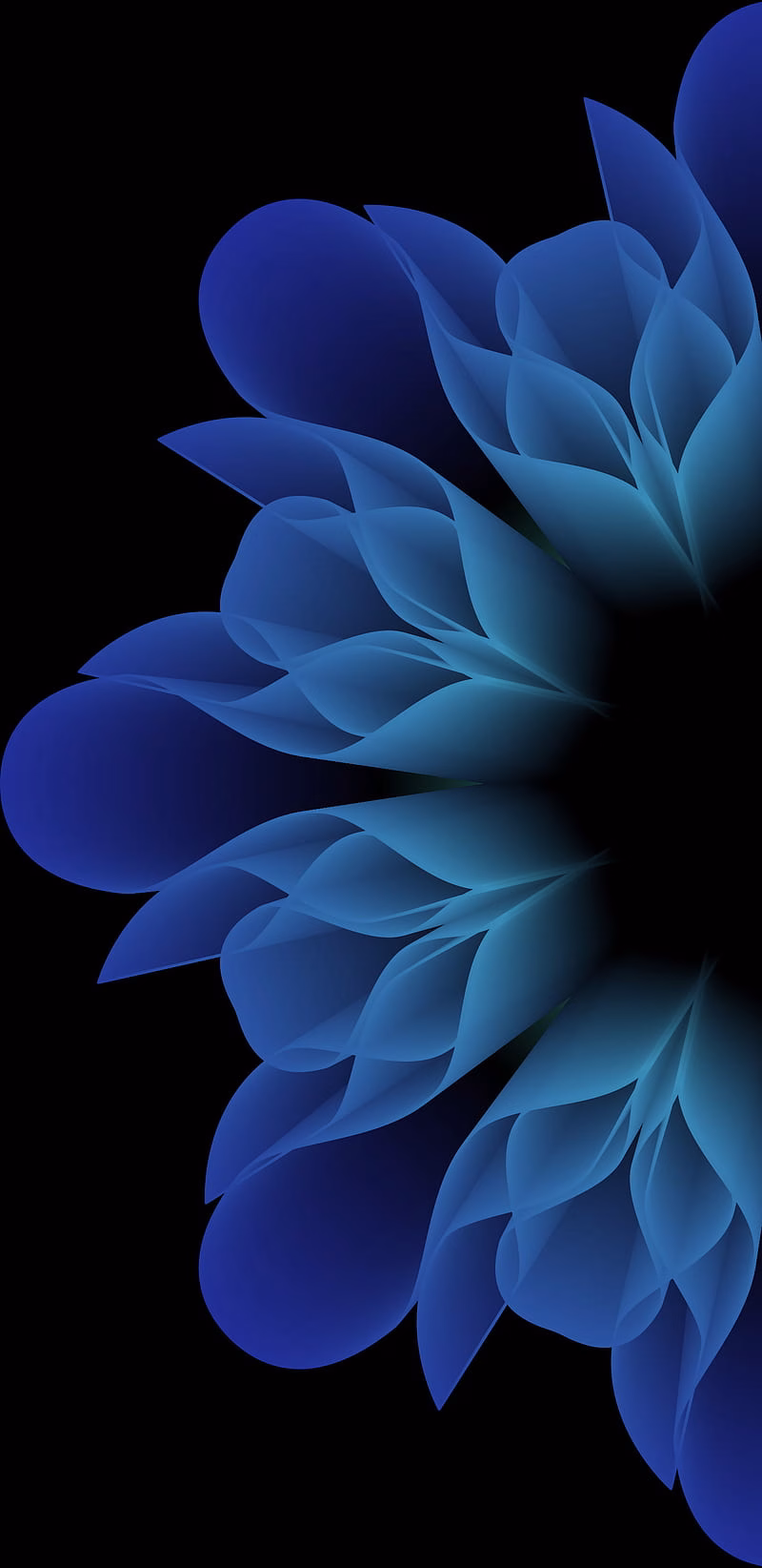 HD-wallpaper-flower-amoled-android-apple-black-dark-galaxy-ios-iphone-note-samsung