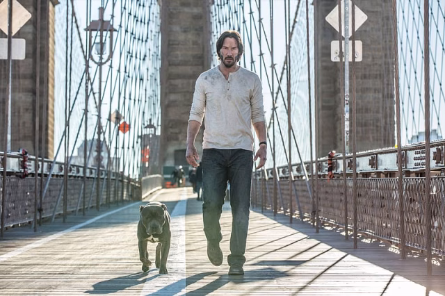 HD-wallpaper-keanu-reeves-dog-movie-john-wick-john-wick-chapter-2