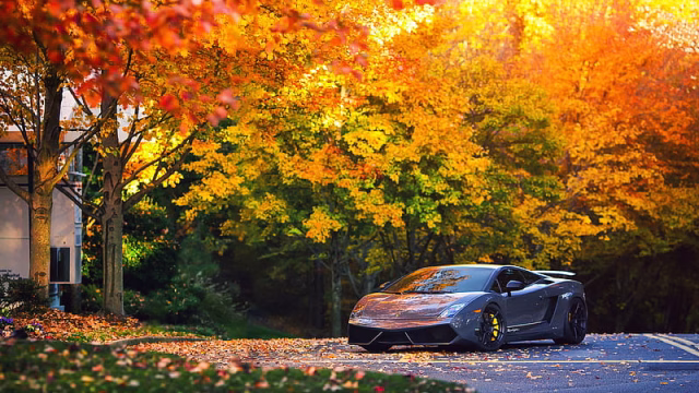 HD-wallpaper-lamborghini-autumn-gallardo-lamborghini-lamborghini-gallardo-cars-autumn