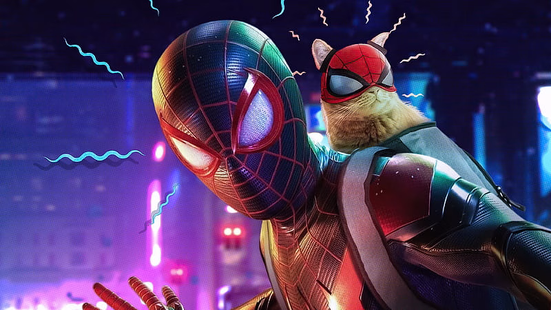 HD-wallpaper-miles-morales-with-cat-spiderman