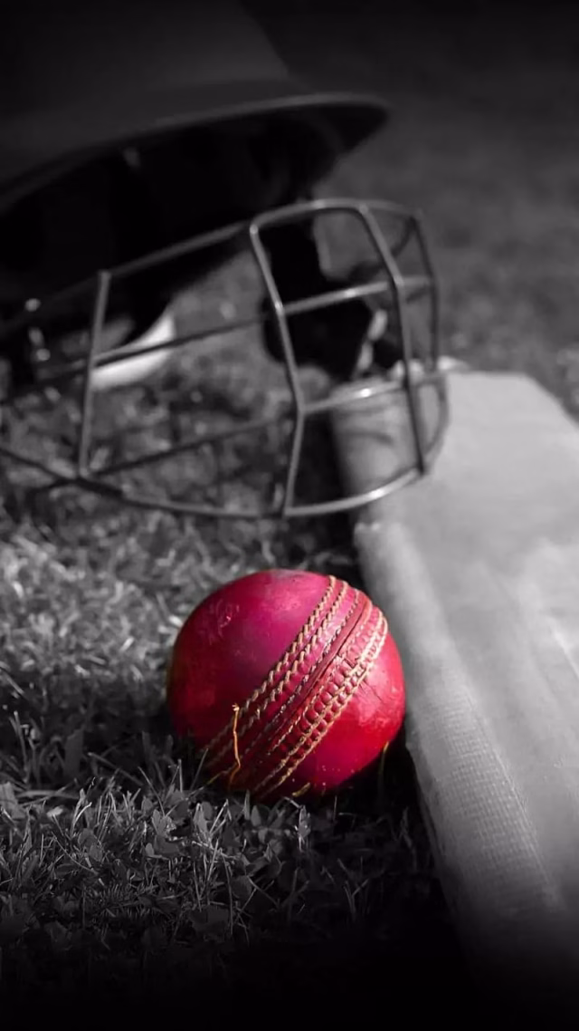 HD-wallpaper-play-cricket-ball-bat-dhoni-helmet-ipl-kohli-sachin-stone-wall