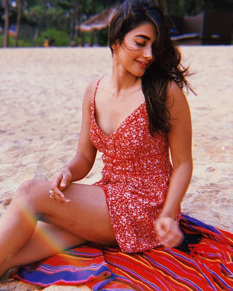 HD-wallpaper-pooja-hegde-actress-bollywood-pooja-pooja-hedge-poojahegde
