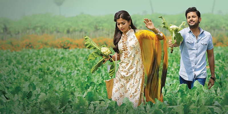 HD-wallpaper-rashmika-mandanna-actress-kannada-rashmika-mandana-rashmikamandana-rashmikamandanna-telugu-28
