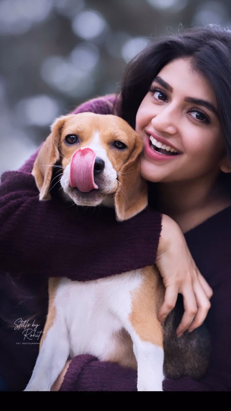 HD-wallpaper-sreeleela-model-dog-lovers