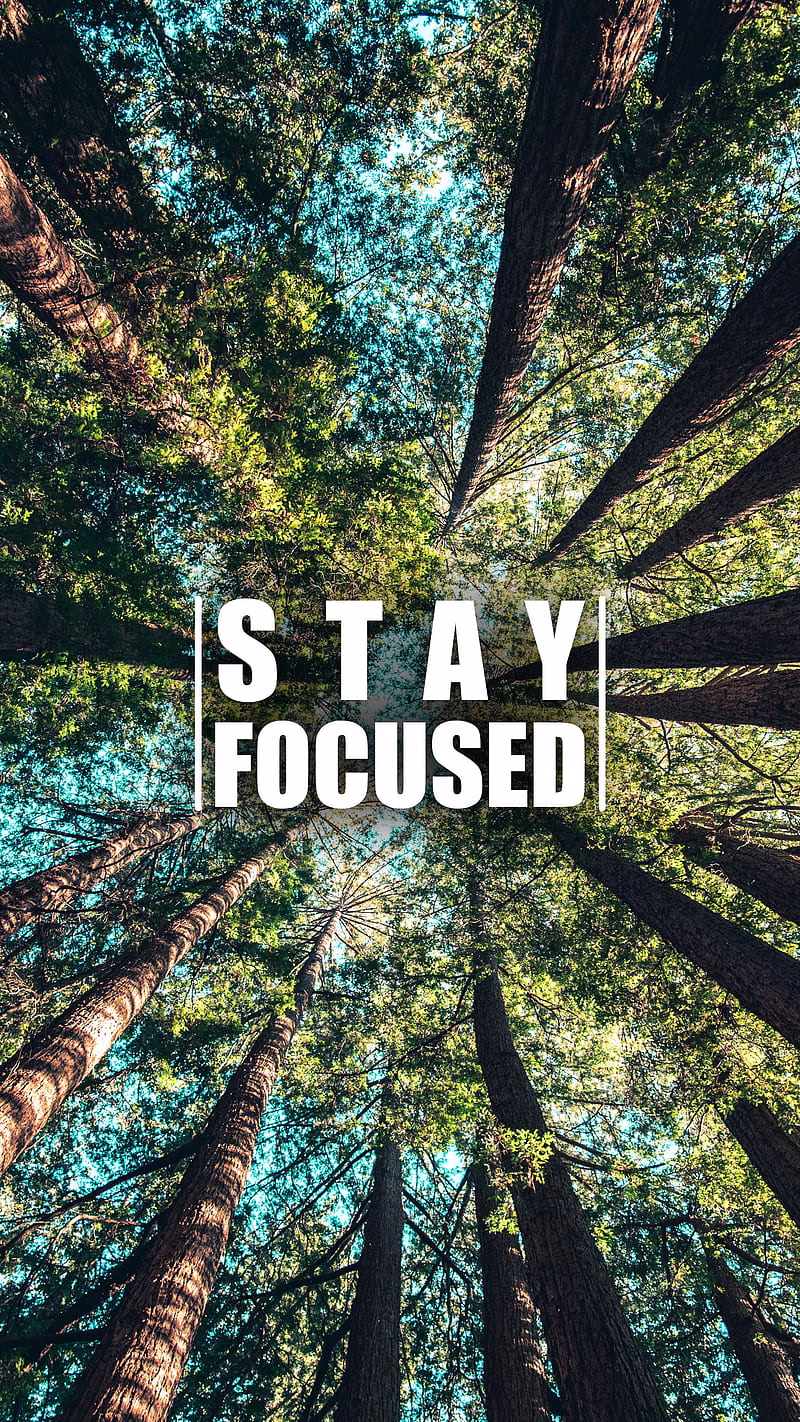 HD-wallpaper-stay-focused-focus-success-inspiration-motivational
