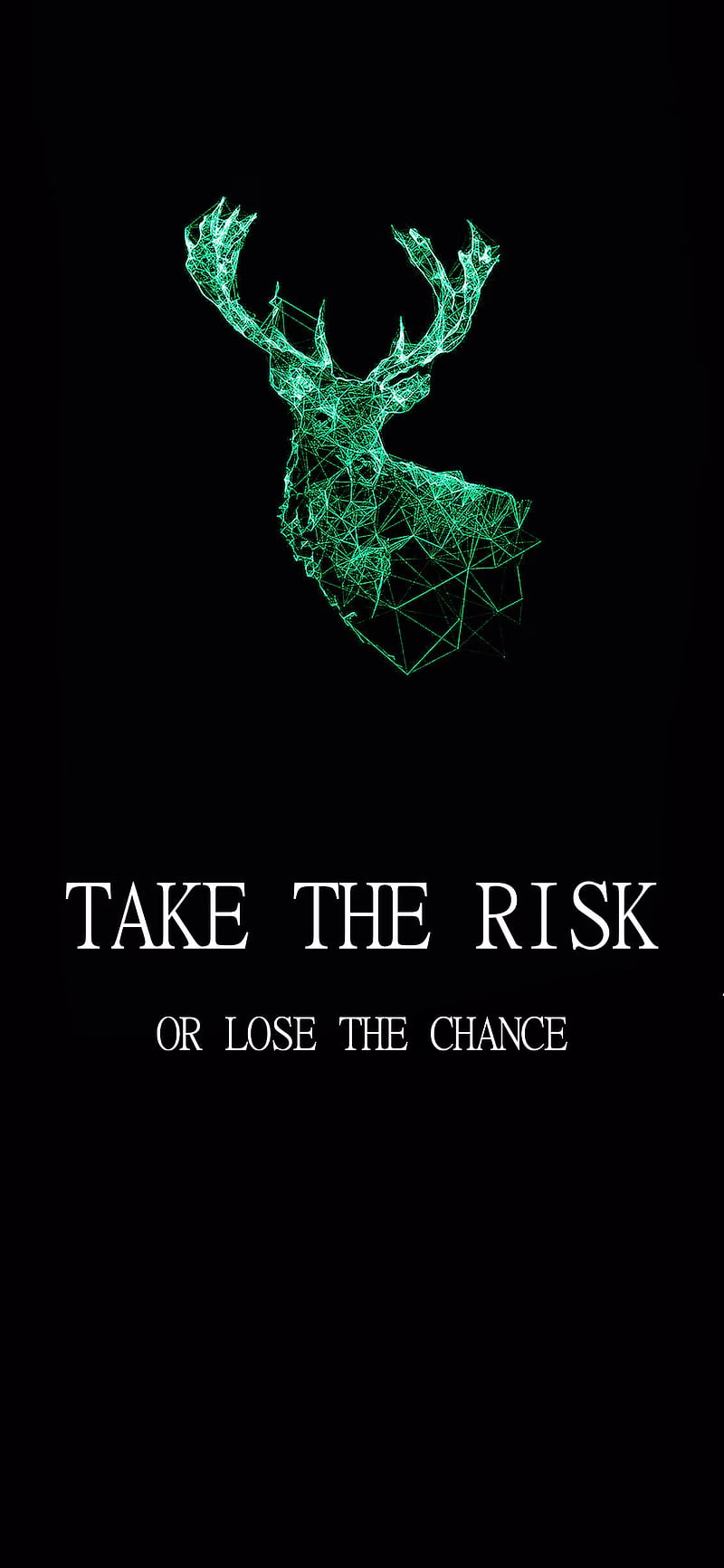 HD-wallpaper-stay-motivated-3-android-animal-chance-iphone-motivation-quote-quotes-risk