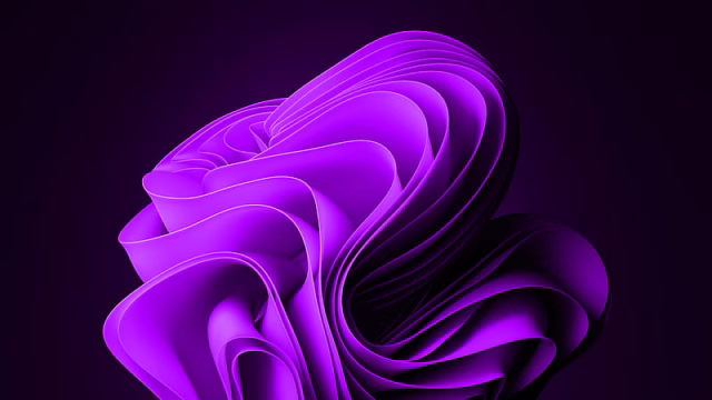 HD-wallpaper-violet-windows-11-logo-windows-11