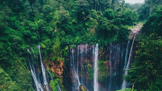 HD-wallpaper-waterfalls-trees-in-forest-macbook-pro-macbook