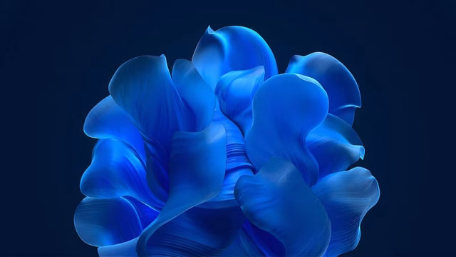 HD-wallpaper-windows-11-dark-microsoft