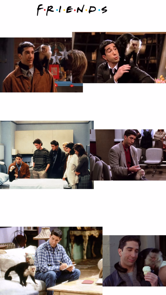 Friends Wallpapers