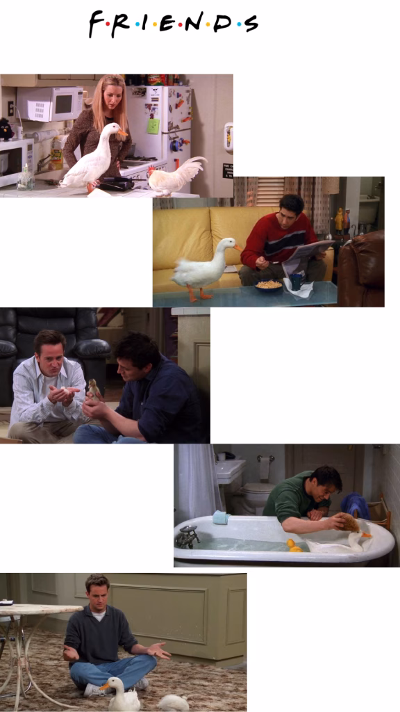 Friends Wallpapers