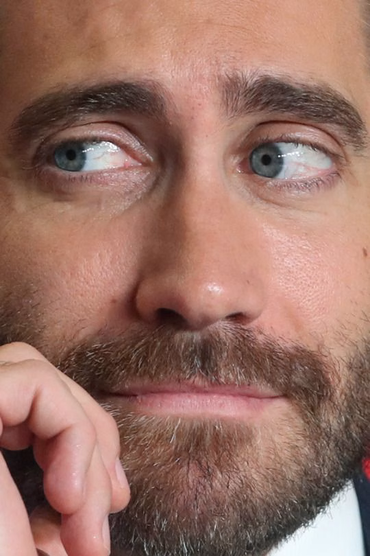 Jake Gyllenhaal