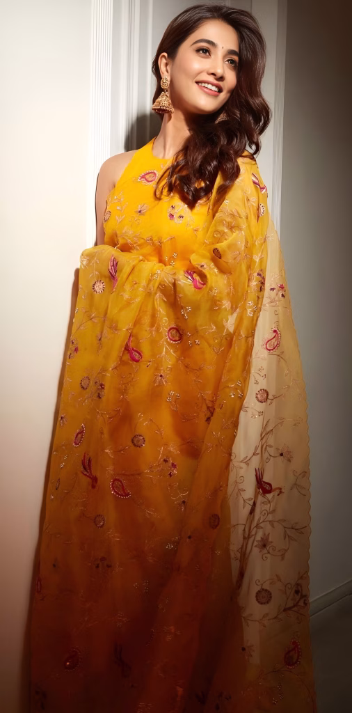 Pooja Hedge