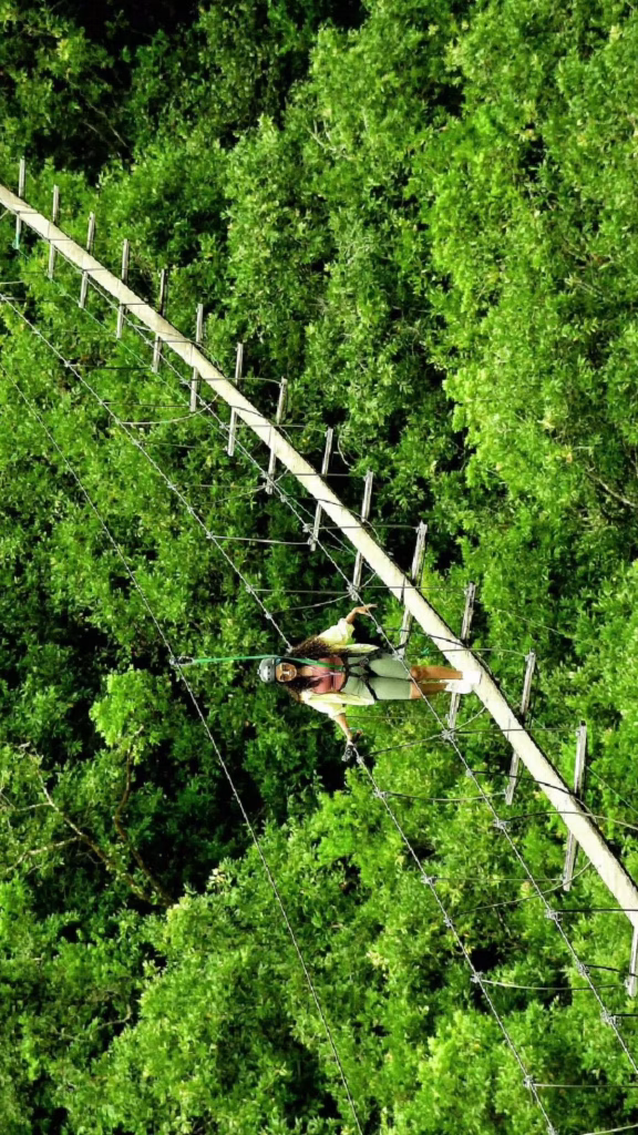 Anupama Parameswaran