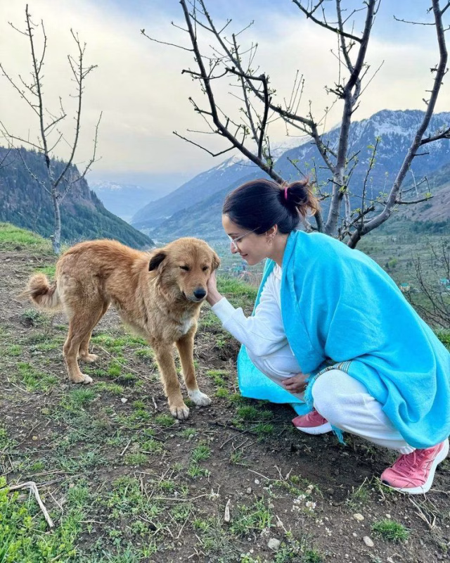 1036109458026466602_1