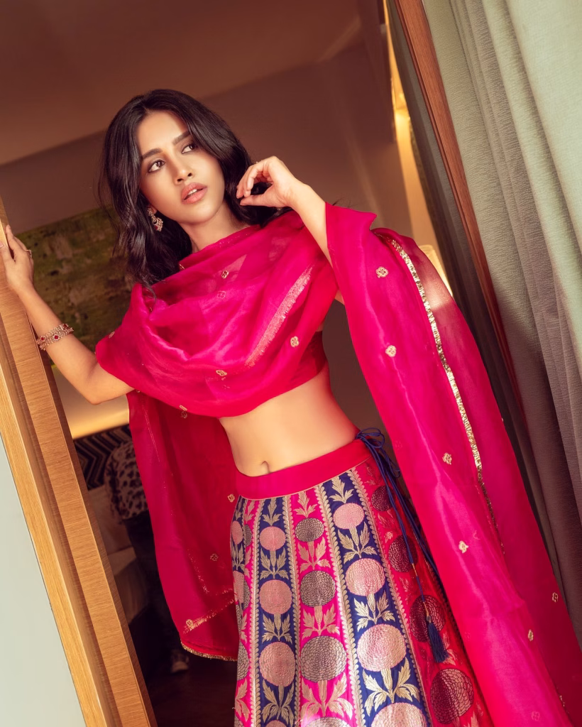 Nabha Natesh