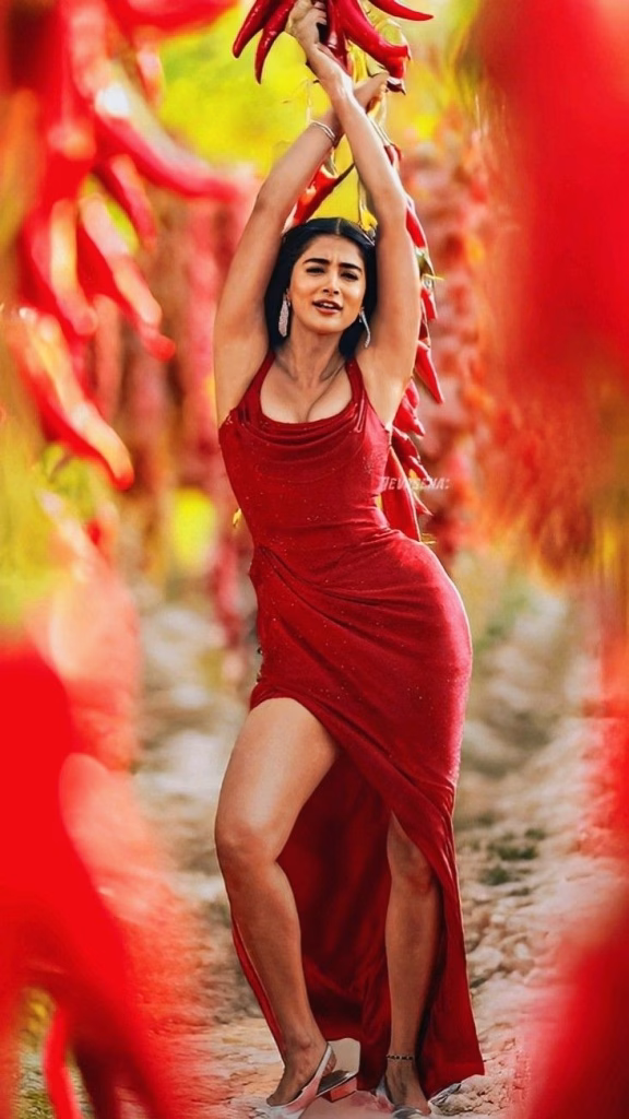Pooja Hedge