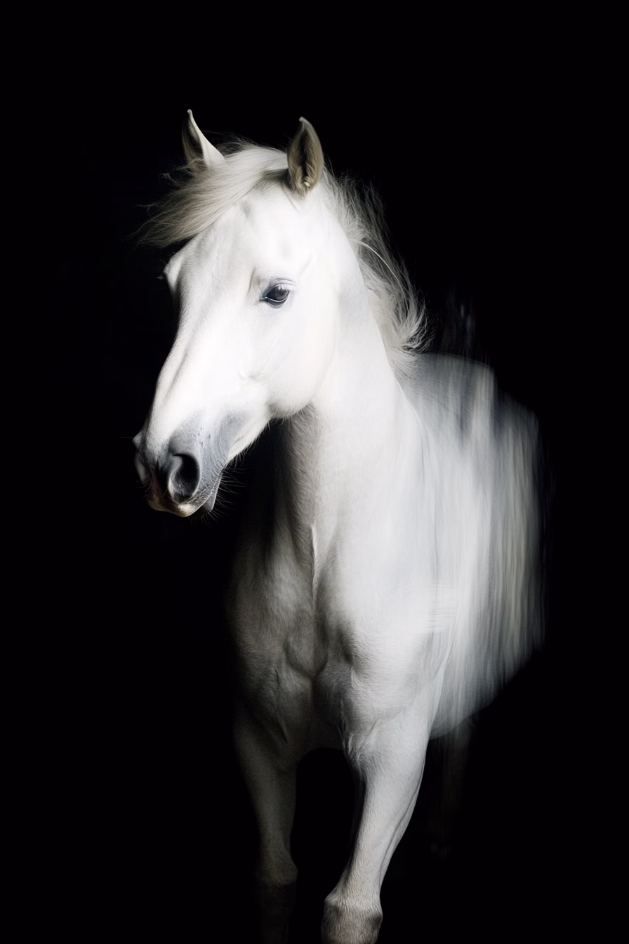 1046664769646548733_1