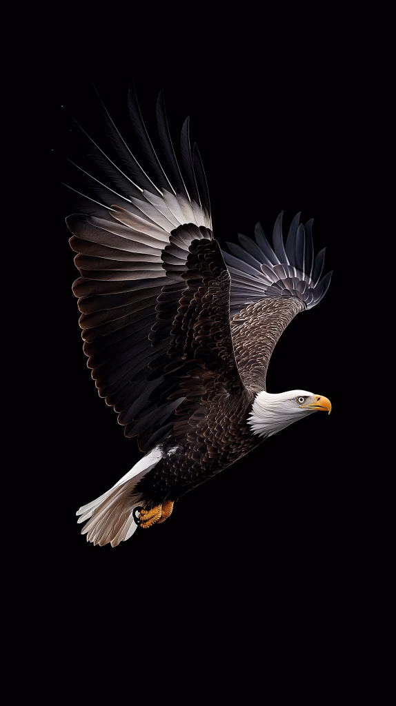 Eagle Wallpapers