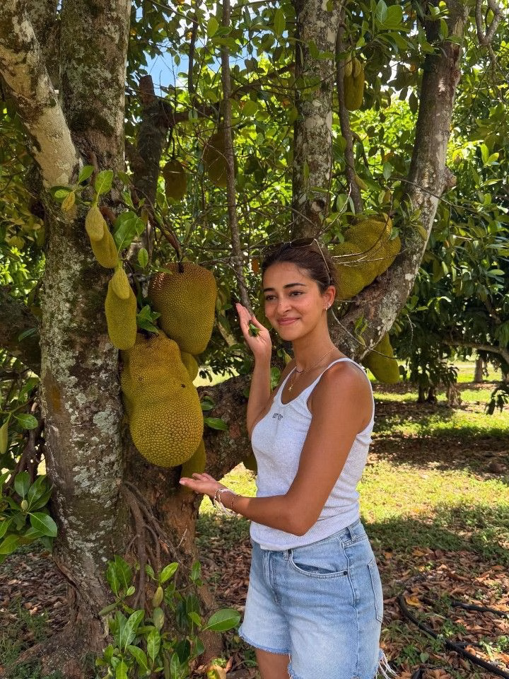 Ananya Pandey