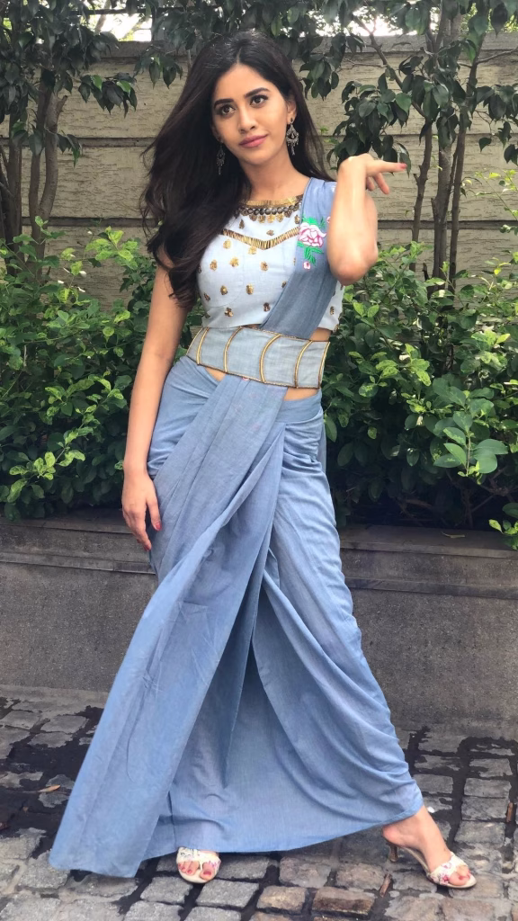Nabha Natesh