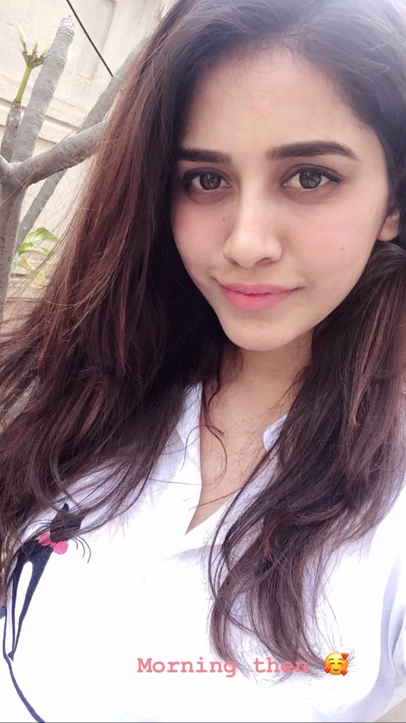 Nabha Natesh