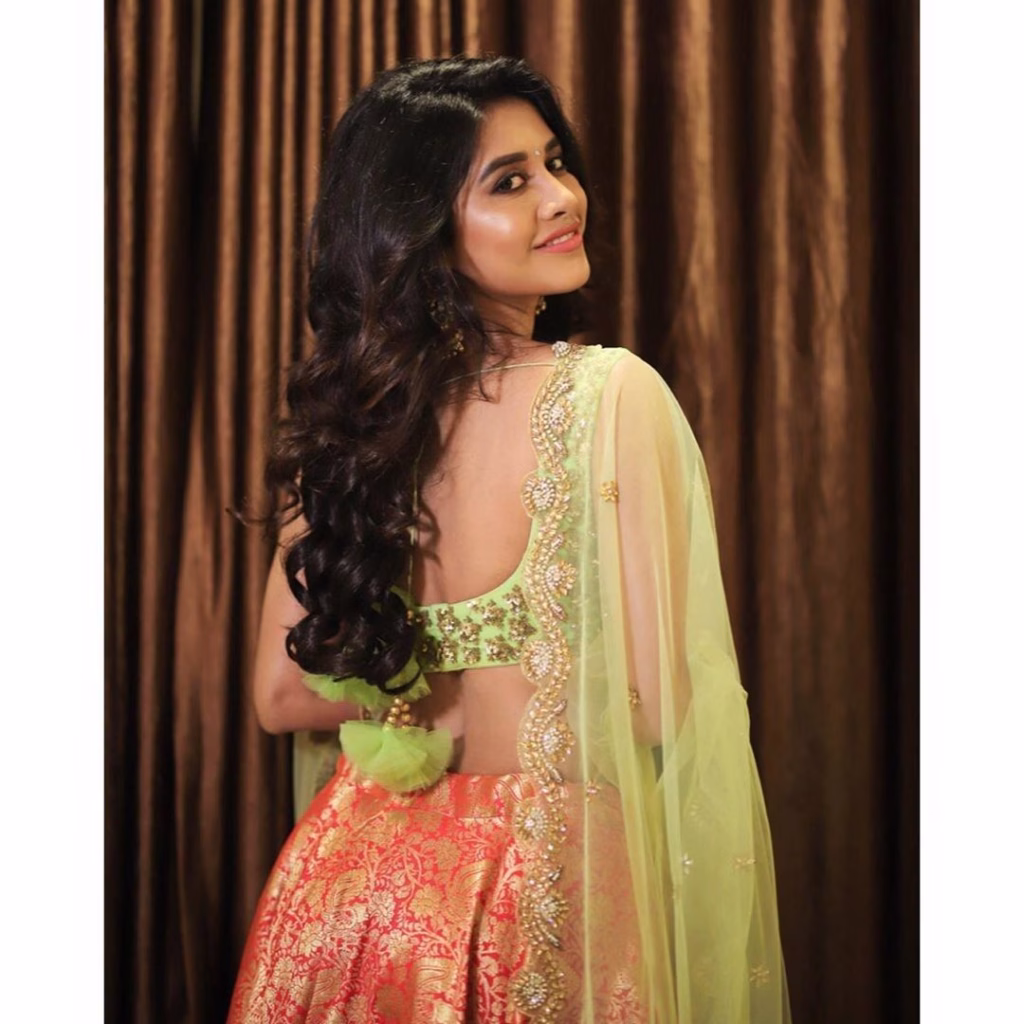 Nabha Natesh