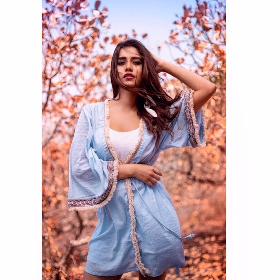 Nabha Natesh