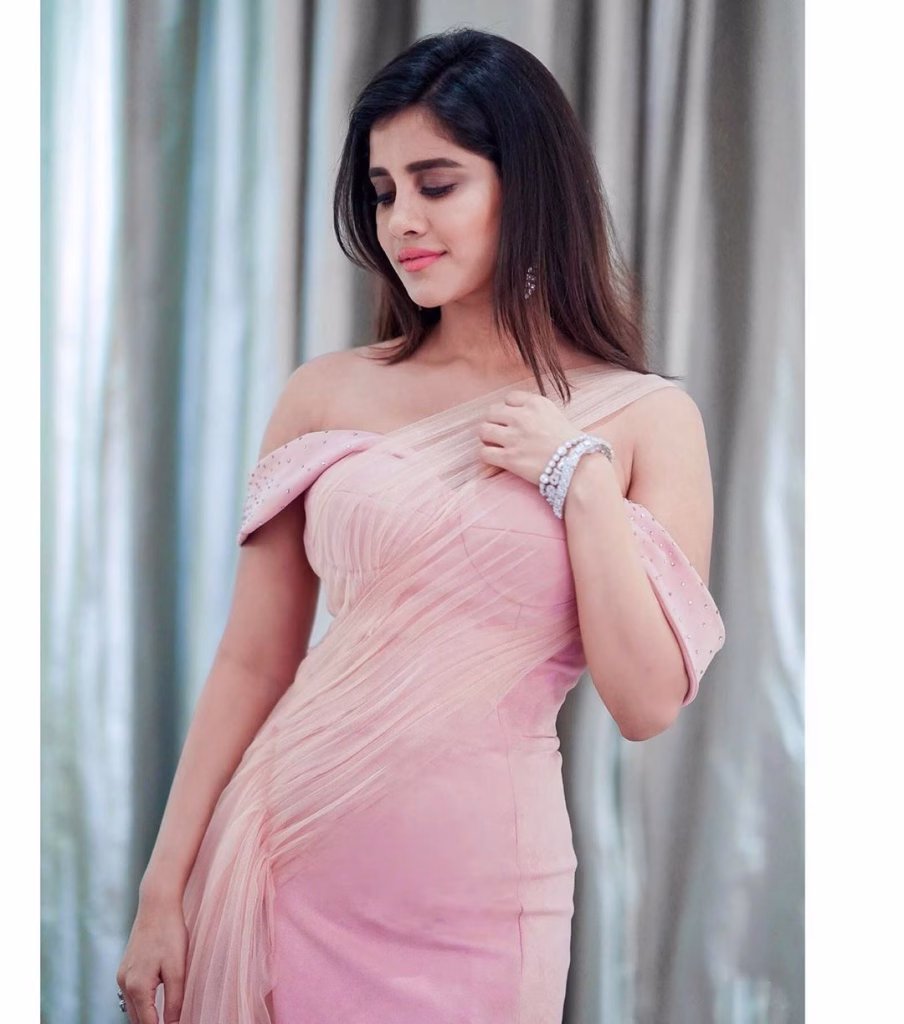 Nabha Natesh