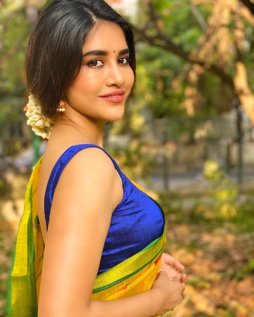 Nabha Natesh