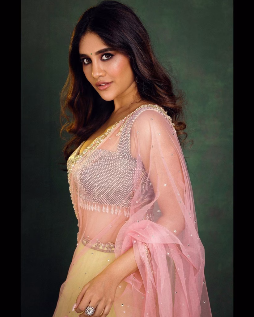 Nabha Natesh