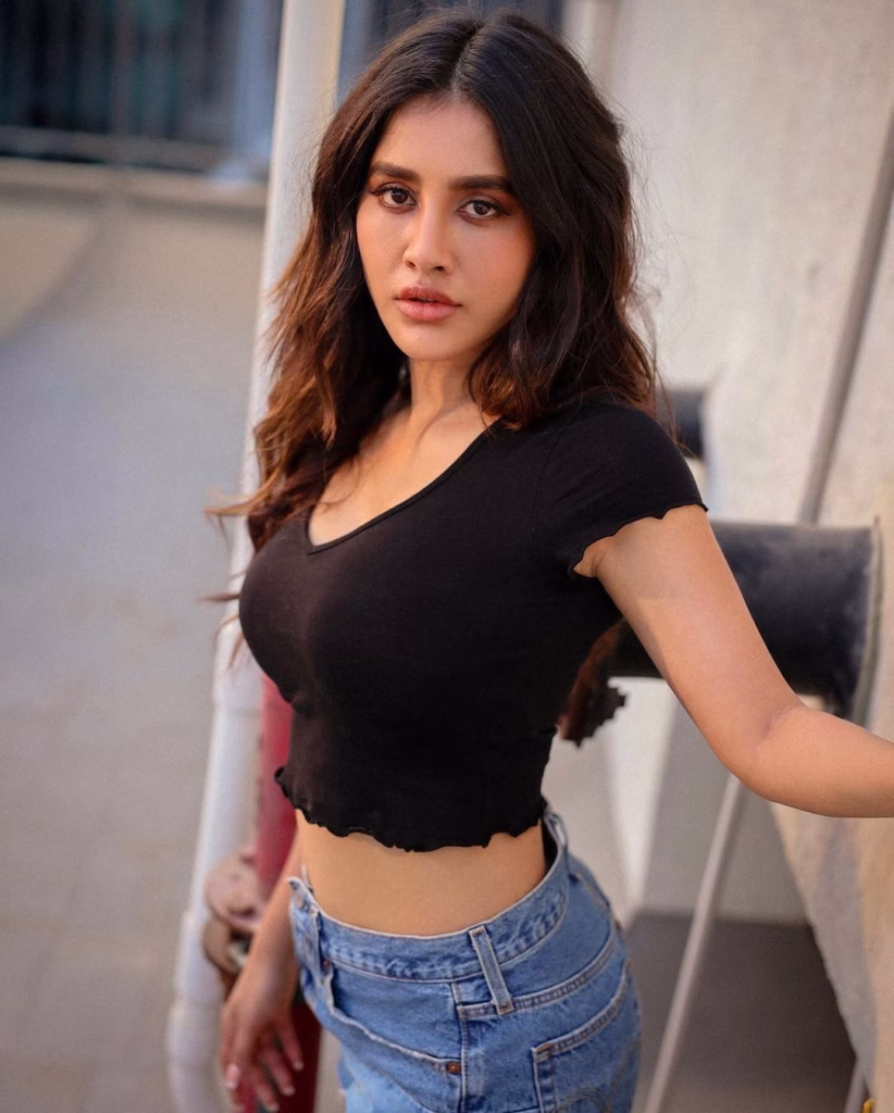 Nabha Natesh