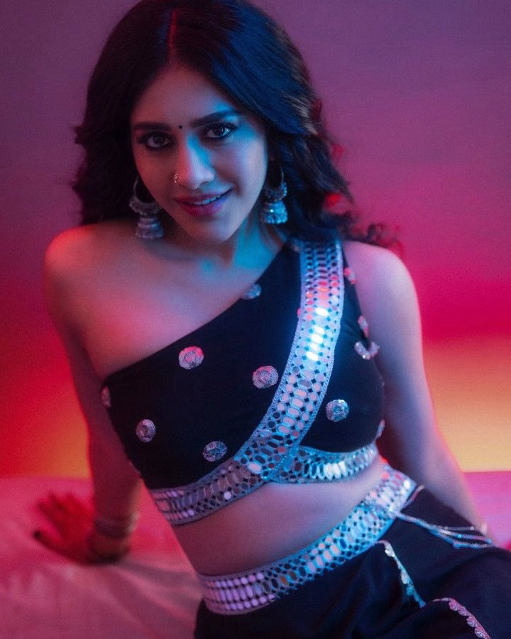 Nabha Natesh