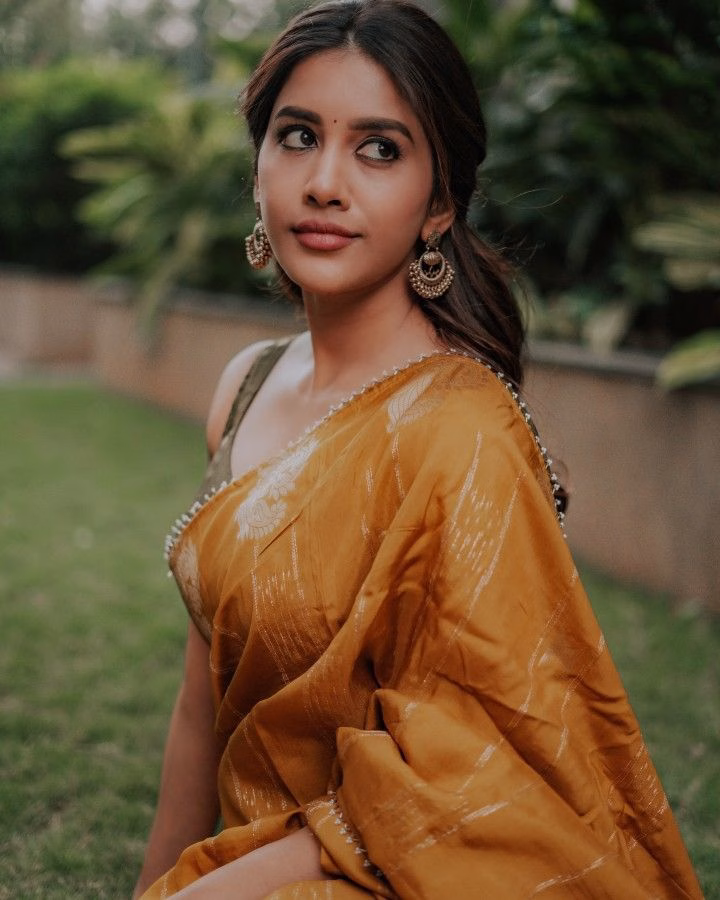 Nabha Natesh
