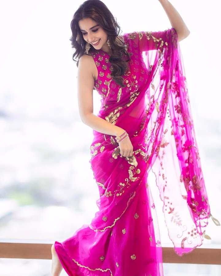 Meenakshi Chaudhary