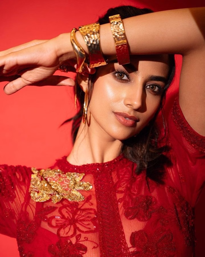 Meenakshi Chaudhary