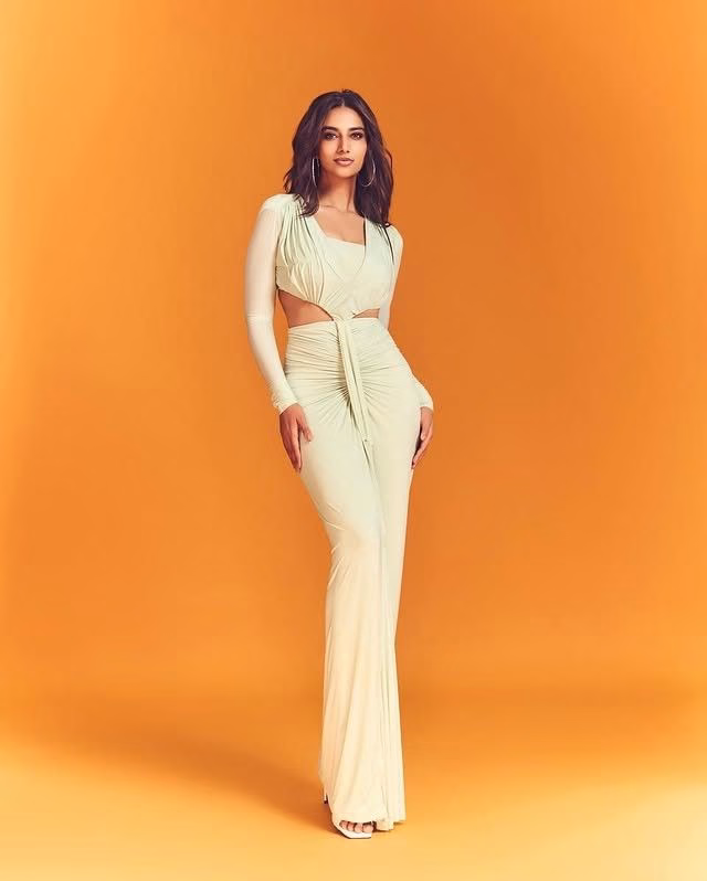 Meenakshi Chaudhary