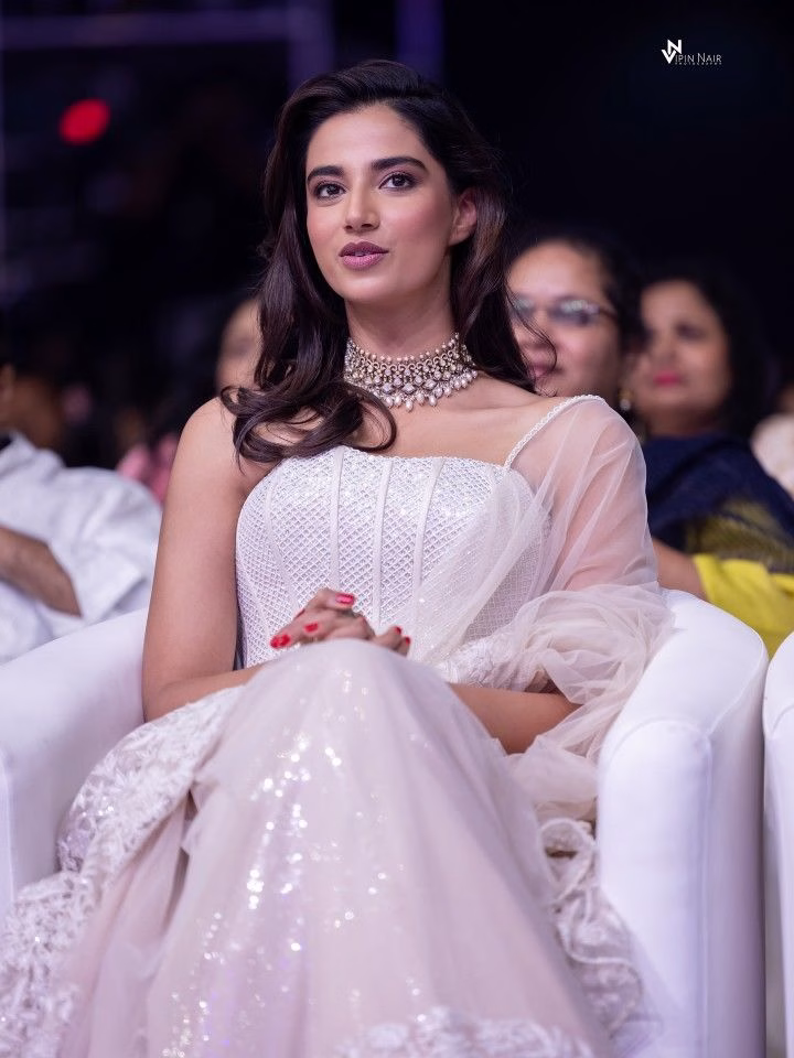 Meenakshi Chaudhary