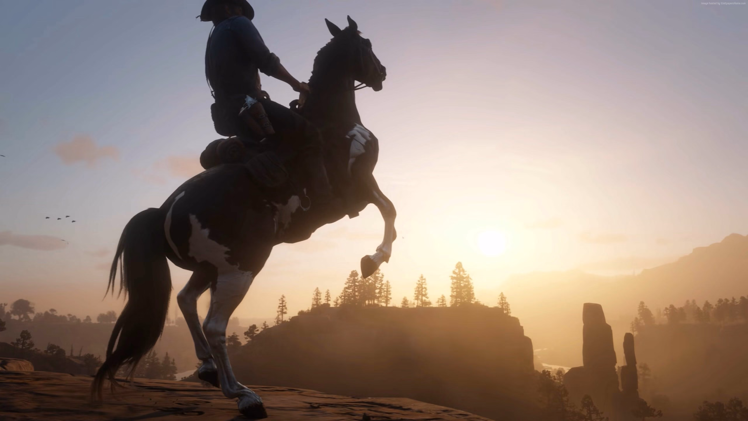 70354-3840×2160-desktop-4k-red-dead-redemption-background
