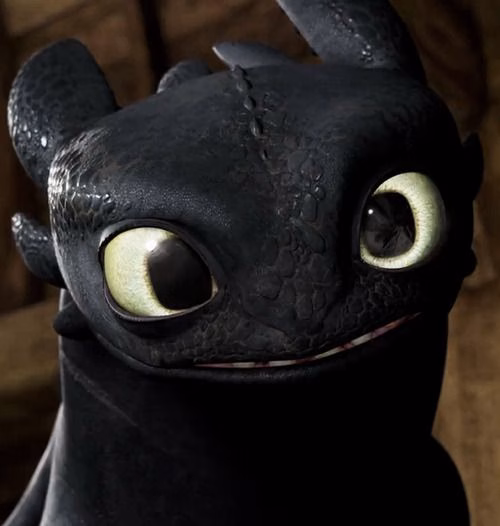 How To Train Your Dragon