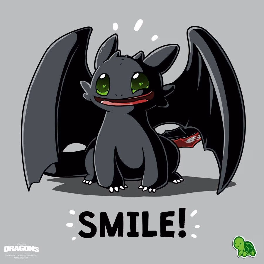 How To Train Your Dragon