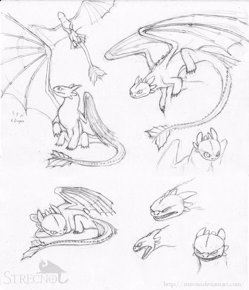 How To Train Your Dragon