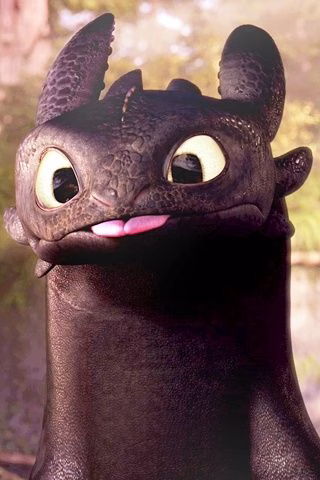 How To Train Your Dragon