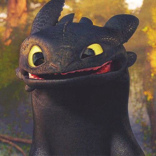 How To Train Your Dragon