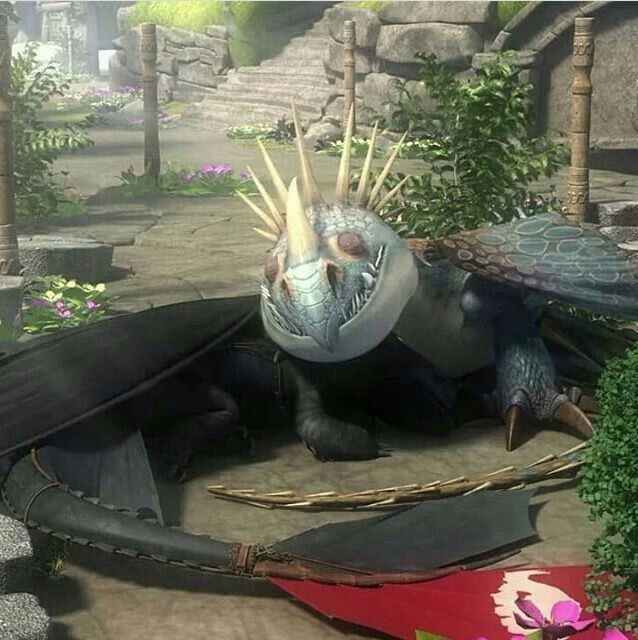How To Train Your Dragon