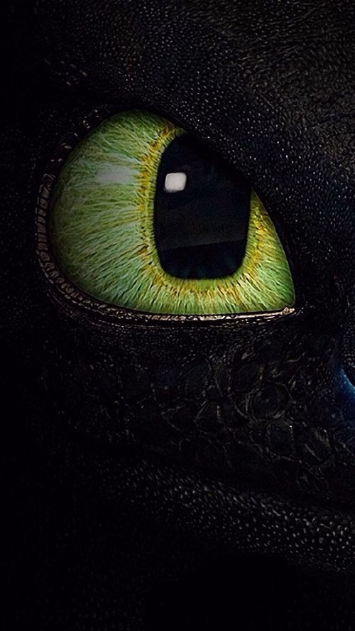 How To Train Your Dragon