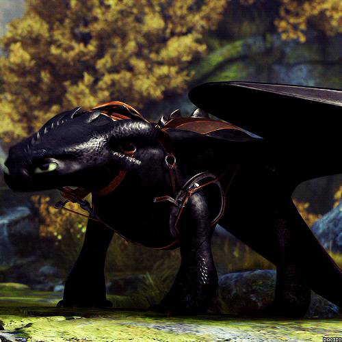 How To Train Your Dragon